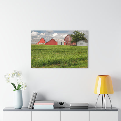 U R There Photography Roadside Trio Rustic Farmhouse Acrylic Wall Print