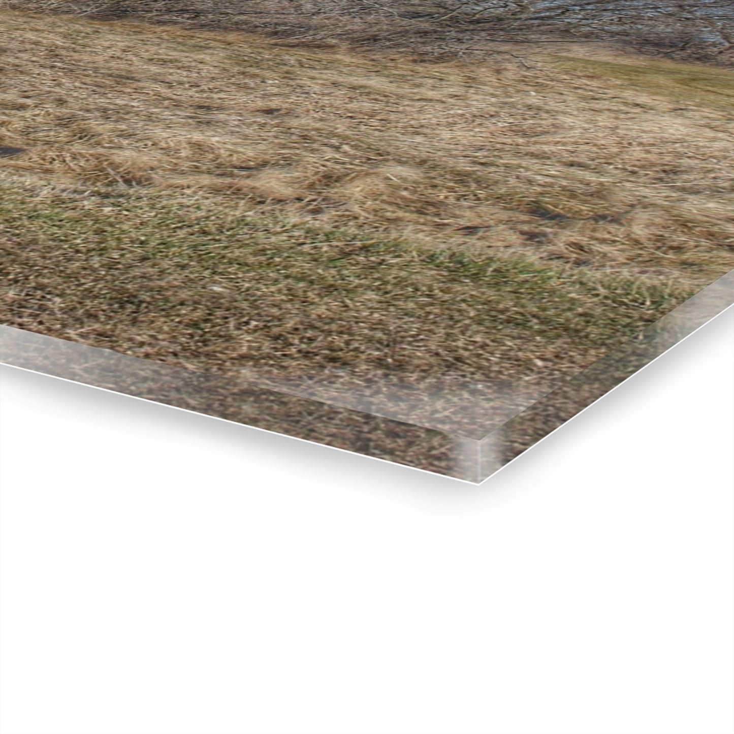 U R There Photography Fargo Road Forgotten Rustic Farmhouse Acrylic Wall Print