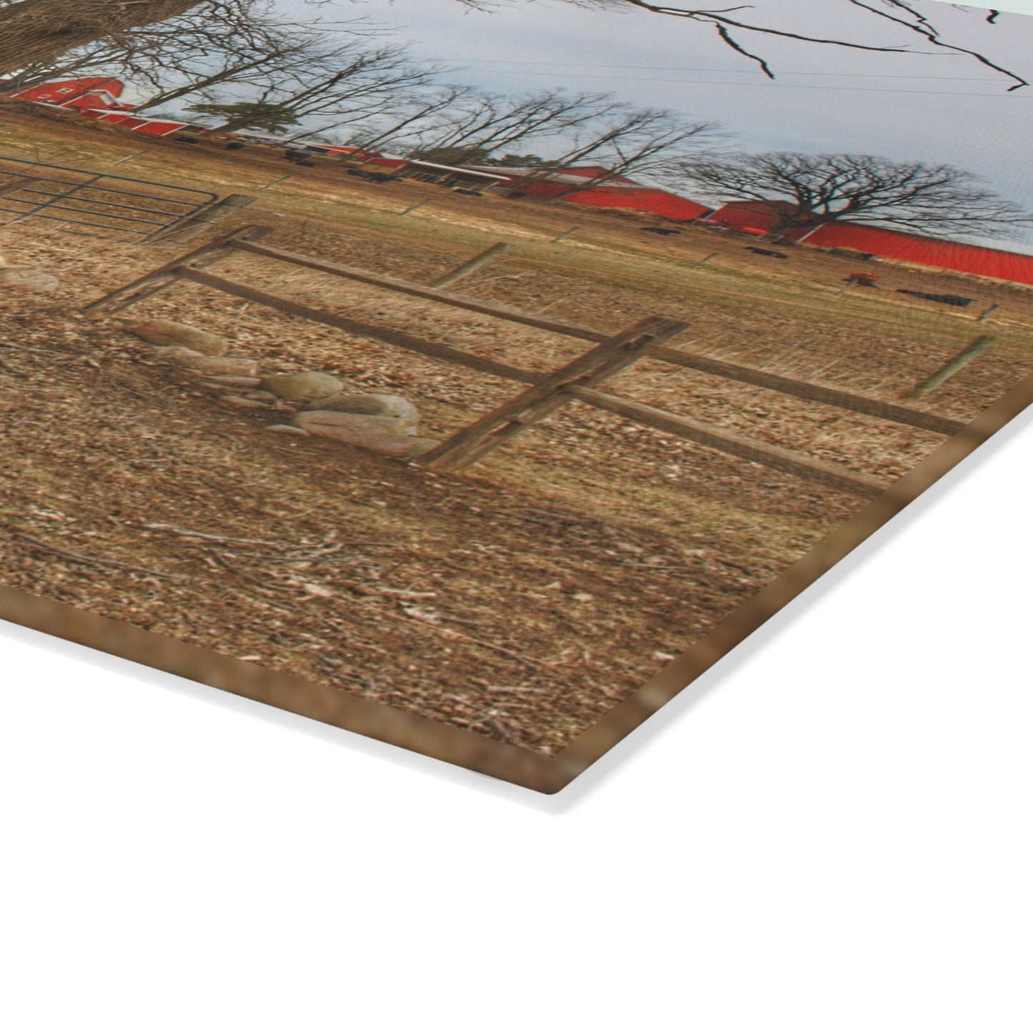U R There Photography Wilder Road Cow Farm Rustic Farmhouse Tempered-Glass Cutting Board