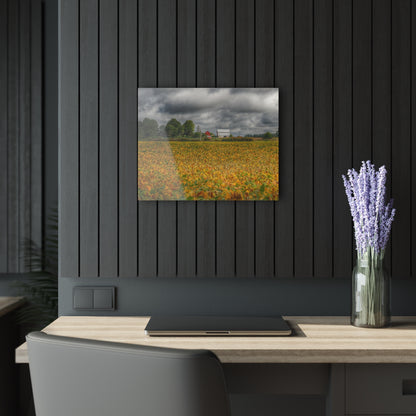 U R There Photography Golden Fields Farm Rustic Farmhouse Acrylic Wall Print