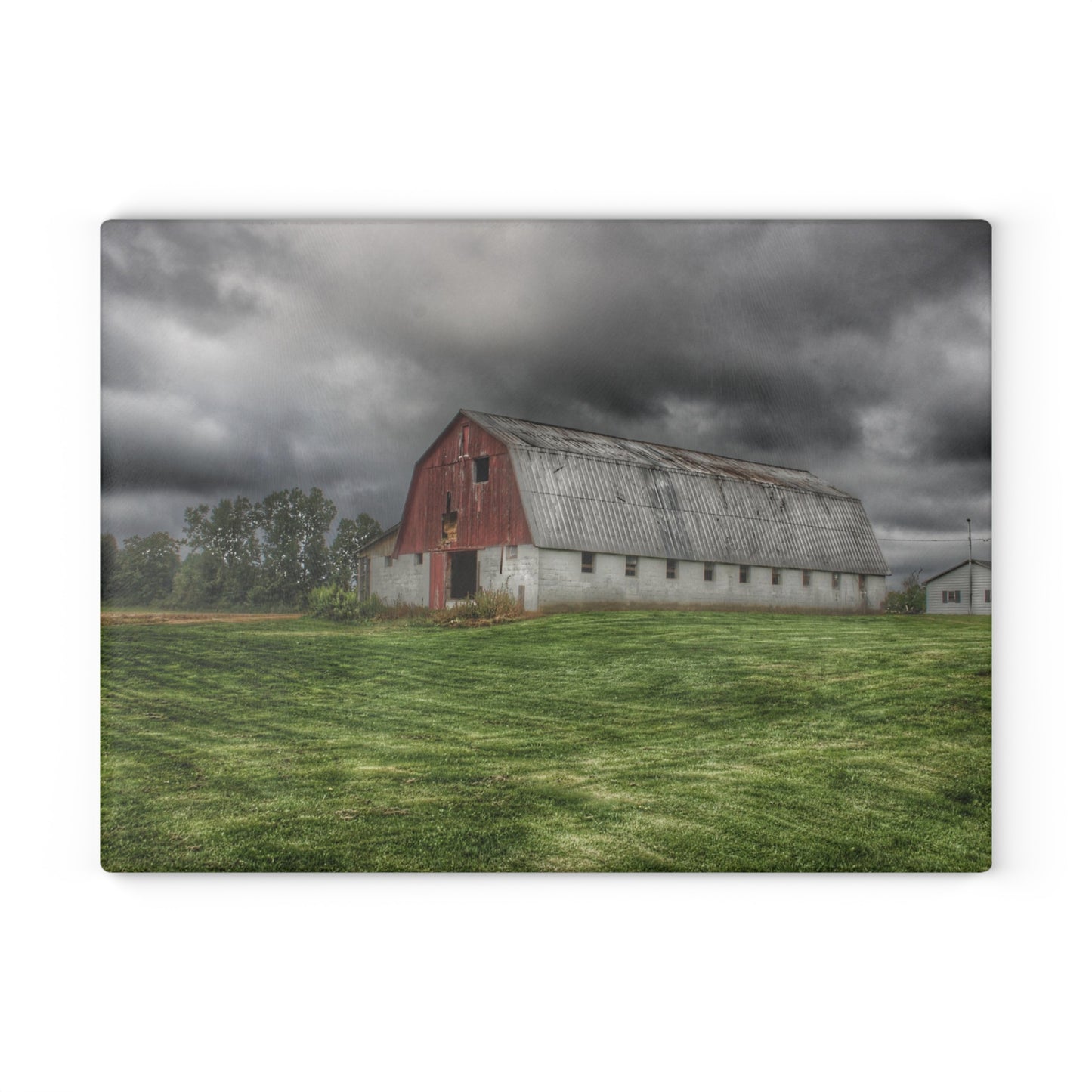 U R There Photography Peters Red Appaloosa I Rustic Farmhouse Tempered-Glass Cutting Board 8"x 11