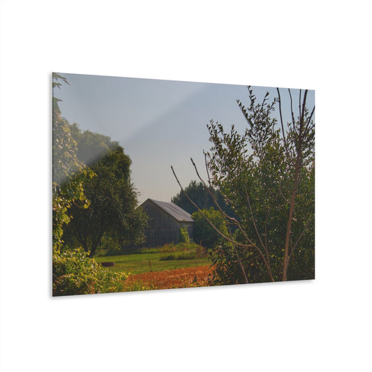 U R There Photography Clifford Hidden Grey Rustic Farmhouse Acrylic Wall Print