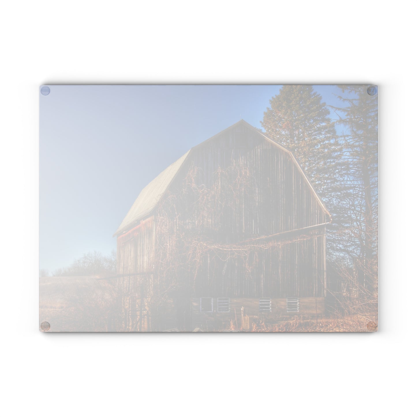 U R There Photography Newark Road Brown Beauty Rustic Farmhouse Tempered-Glass Cutting Board