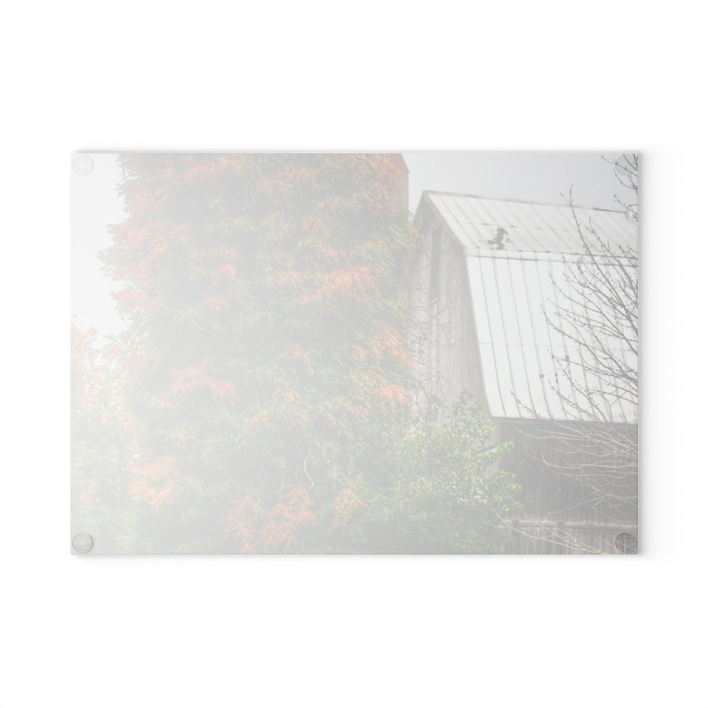 U R There Photography Ludwig Road Oxford Grey and Silo Rustic Farmhouse Tempered-Glass Cutting Board