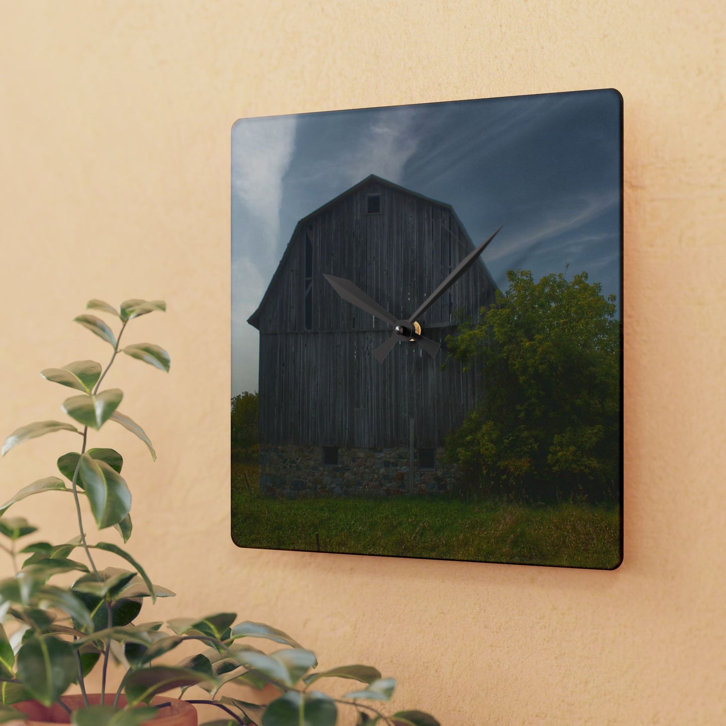 U R There Photography Cat Lake Grey I Rustic Farmhouse Acrylic Analog Wall Clock