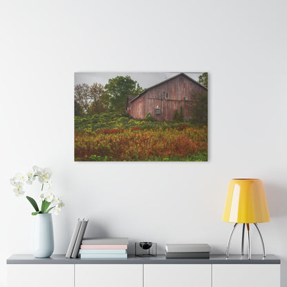 U R There Photography Washburn Roadside Reds Rustic Farmhouse Acrylic Wall Print