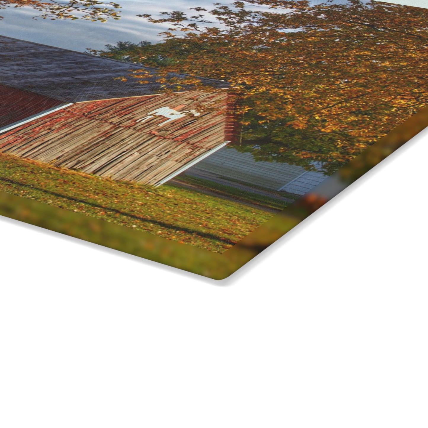 U R There Photography Marlette Road Fall Red Rustic Farmhouse Tempered-Glass Cutting Board