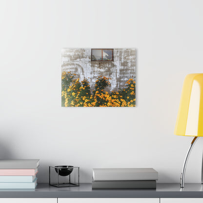 U R There Photography Golden Blooms on McDowell Rustic Farmhouse Acrylic Wall Print
