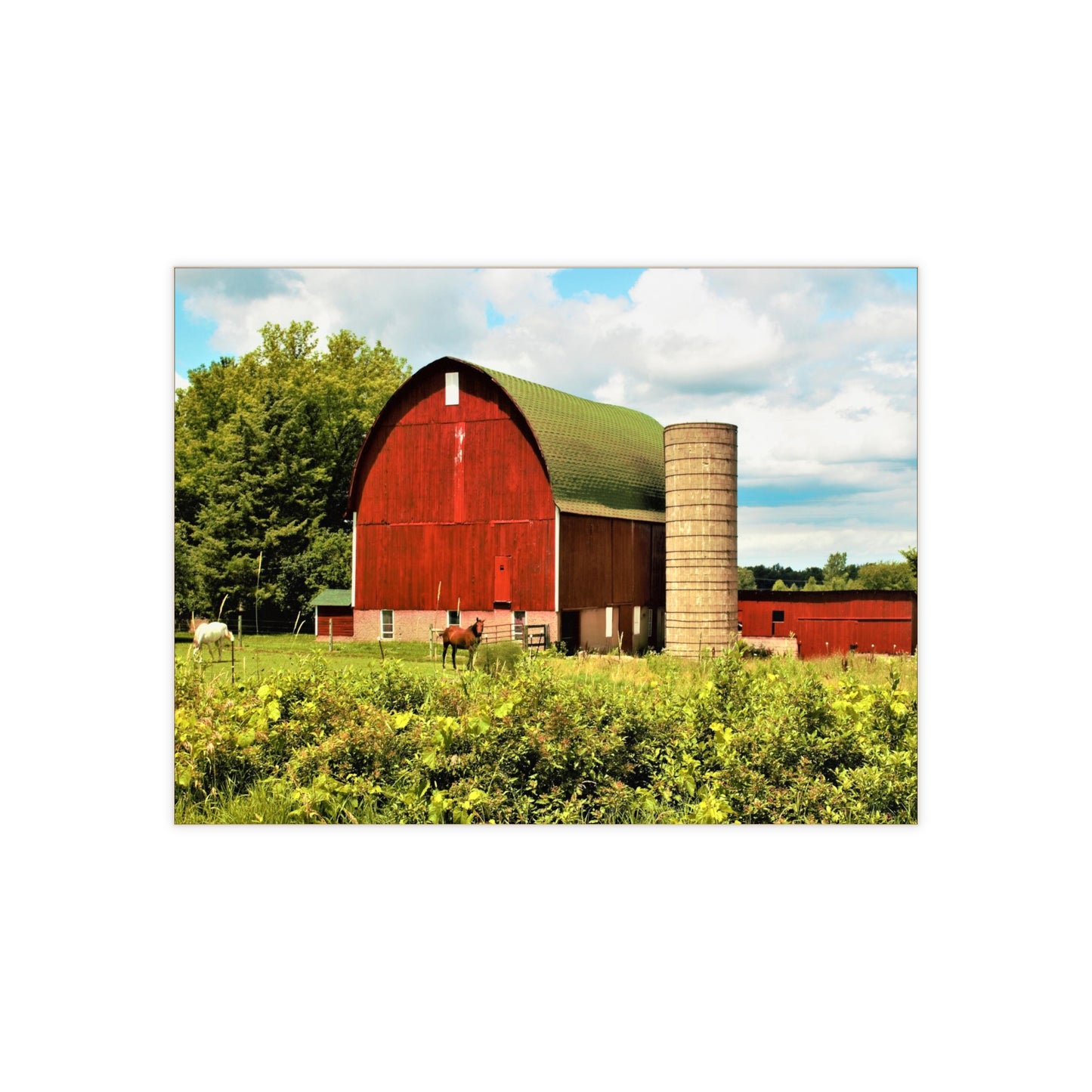 U R There Photography Elmwood Road Red and Horses Rustic Farmhouse Decorative Ceramic Tile