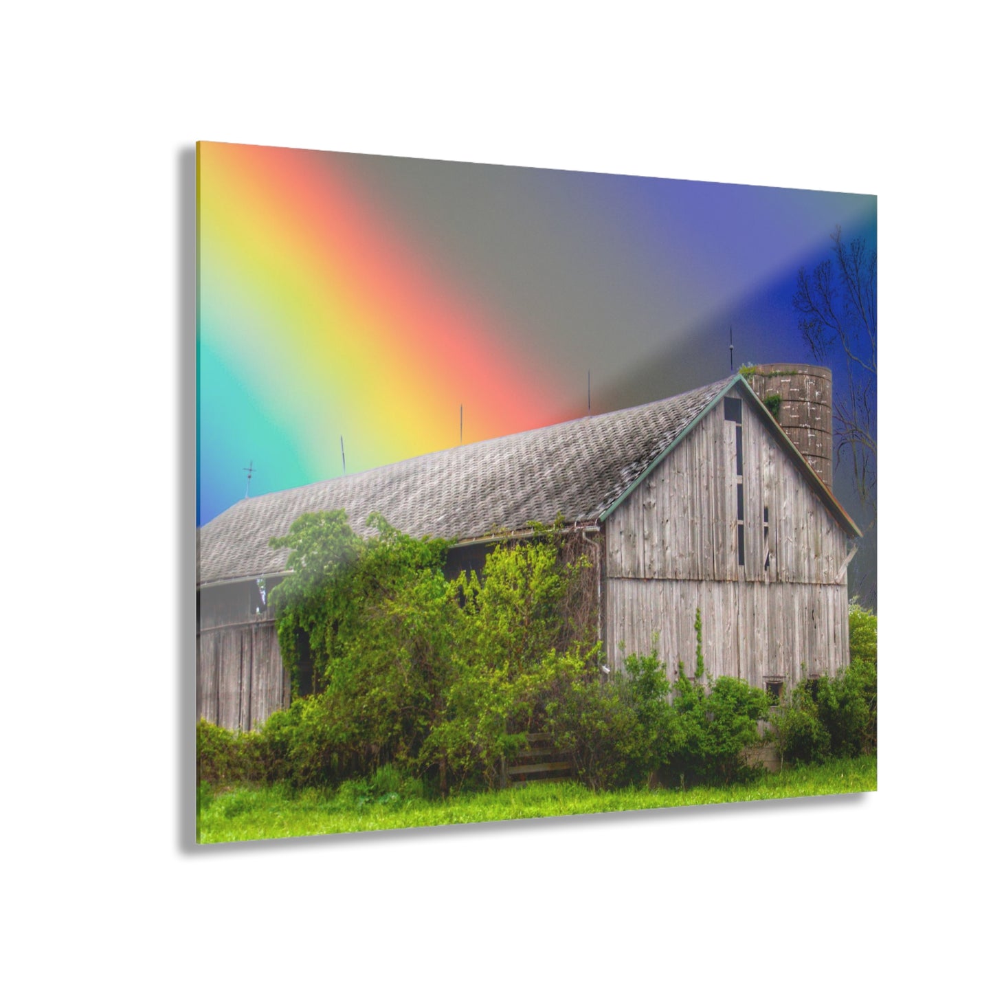 U R There Photography Wilder Road Wonderment Rustic Farmhouse Acrylic Wall Print