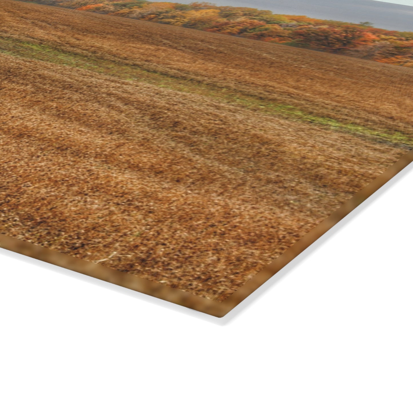U R There Photography Colors of Fall on Lippincott Road Rustic Farmhouse Tempered-Glass Cutting Board