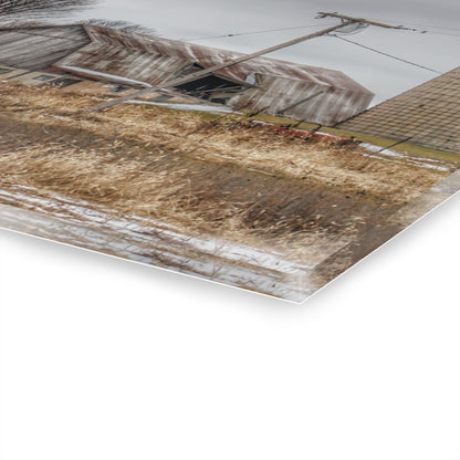 U R There Photography Norway Lake Road Grey Rustic Farmhouse Acrylic Wall Print