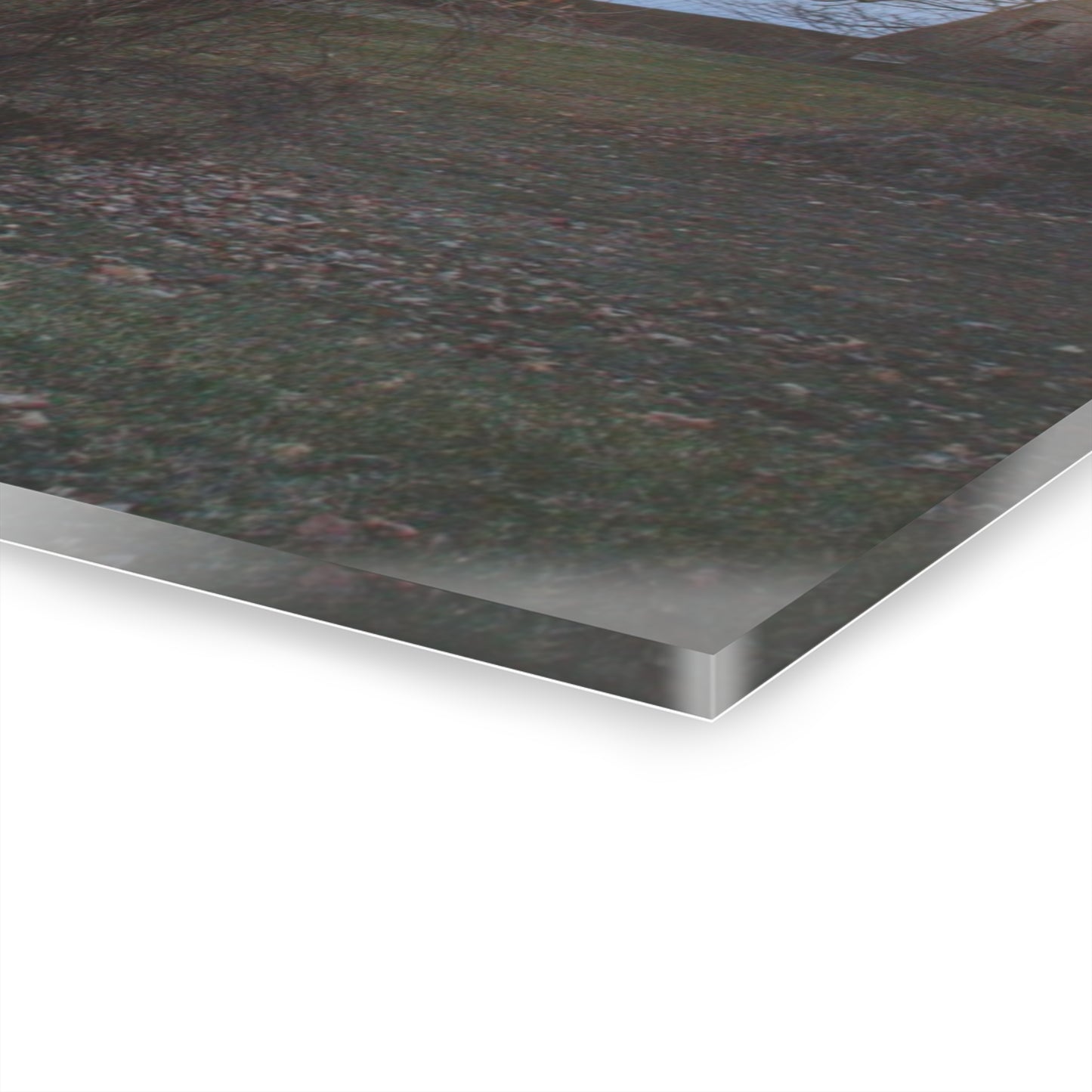 U R There Photography Ortonville Red Rustic Farmhouse Acrylic Wall Print