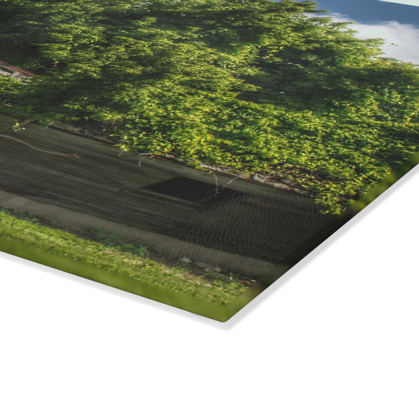 U R There Photography Brown City Road Barn and Buddy I Rustic Farmhouse Tempered-Glass Cutting Board