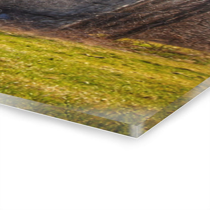 U R There Photography M-15 Red Rustic Farmhouse Acrylic Wall Print