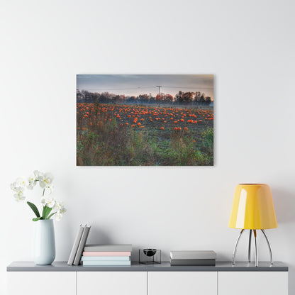 U R There Photography Five Lakes Pumpkins Rustic Farmhouse Acrylic Wall Print