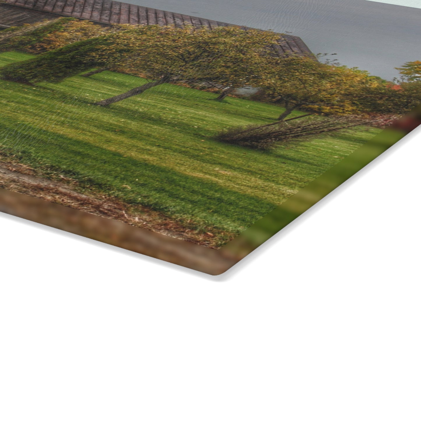 U R There Photography Goodrich Grey Rustic Farmhouse Tempered-Glass Cutting Board