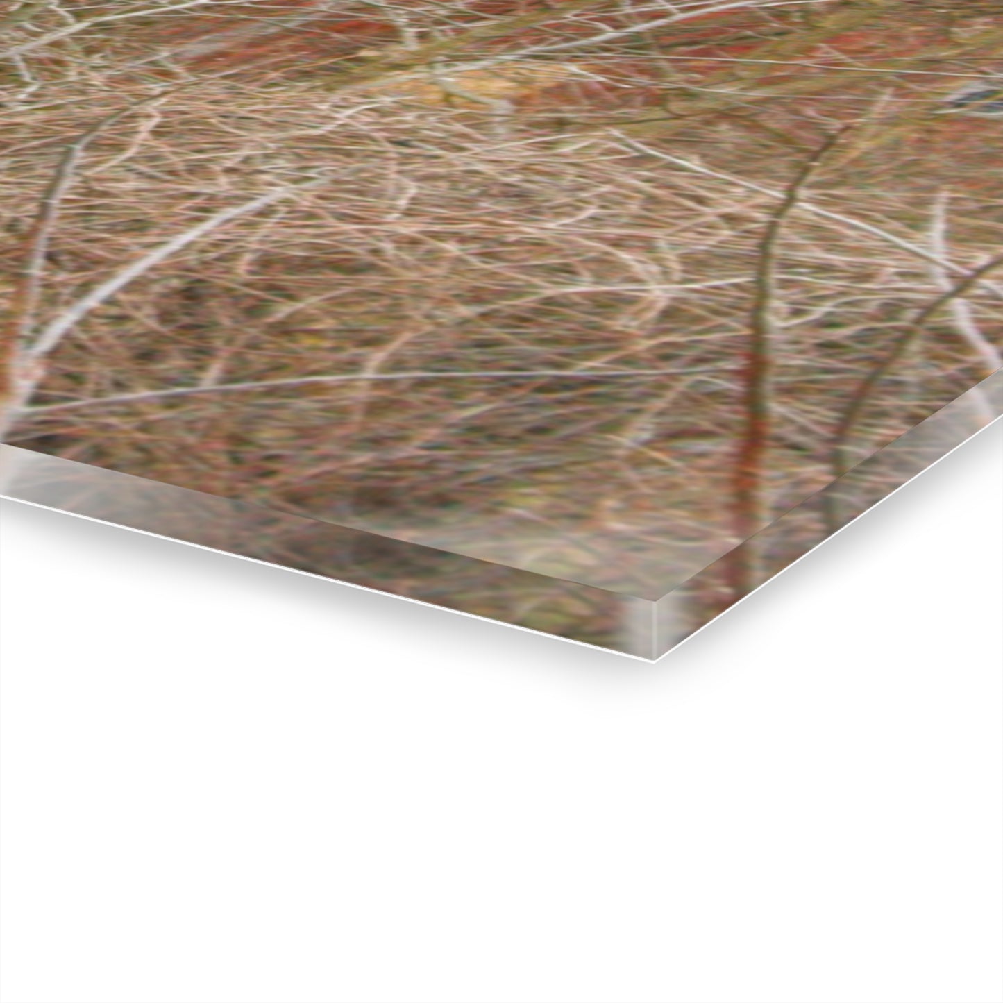 U R There Photography Klam Road Hidden Gable Red Rustic Farmhouse Acrylic Wall Print