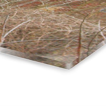 U R There Photography Klam Road Hidden Gable Red Rustic Farmhouse Acrylic Wall Print