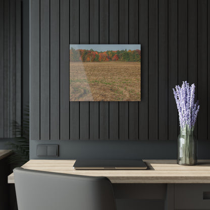 U R There Photography Fall on Murphy Lake III Rustic Farmhouse Acrylic Wall Print