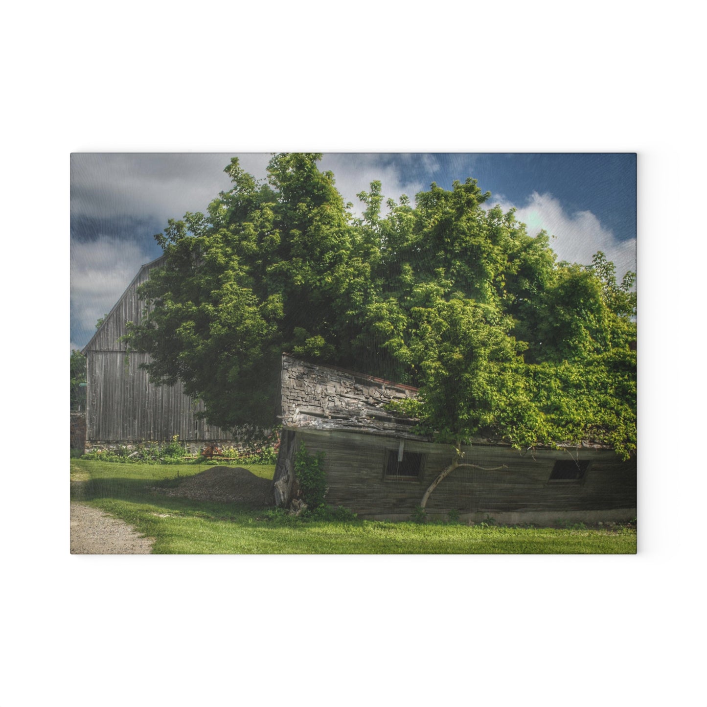 U R There Photography Brown City Road Barn and Buddy I Rustic Farmhouse Tempered-Glass Cutting Board