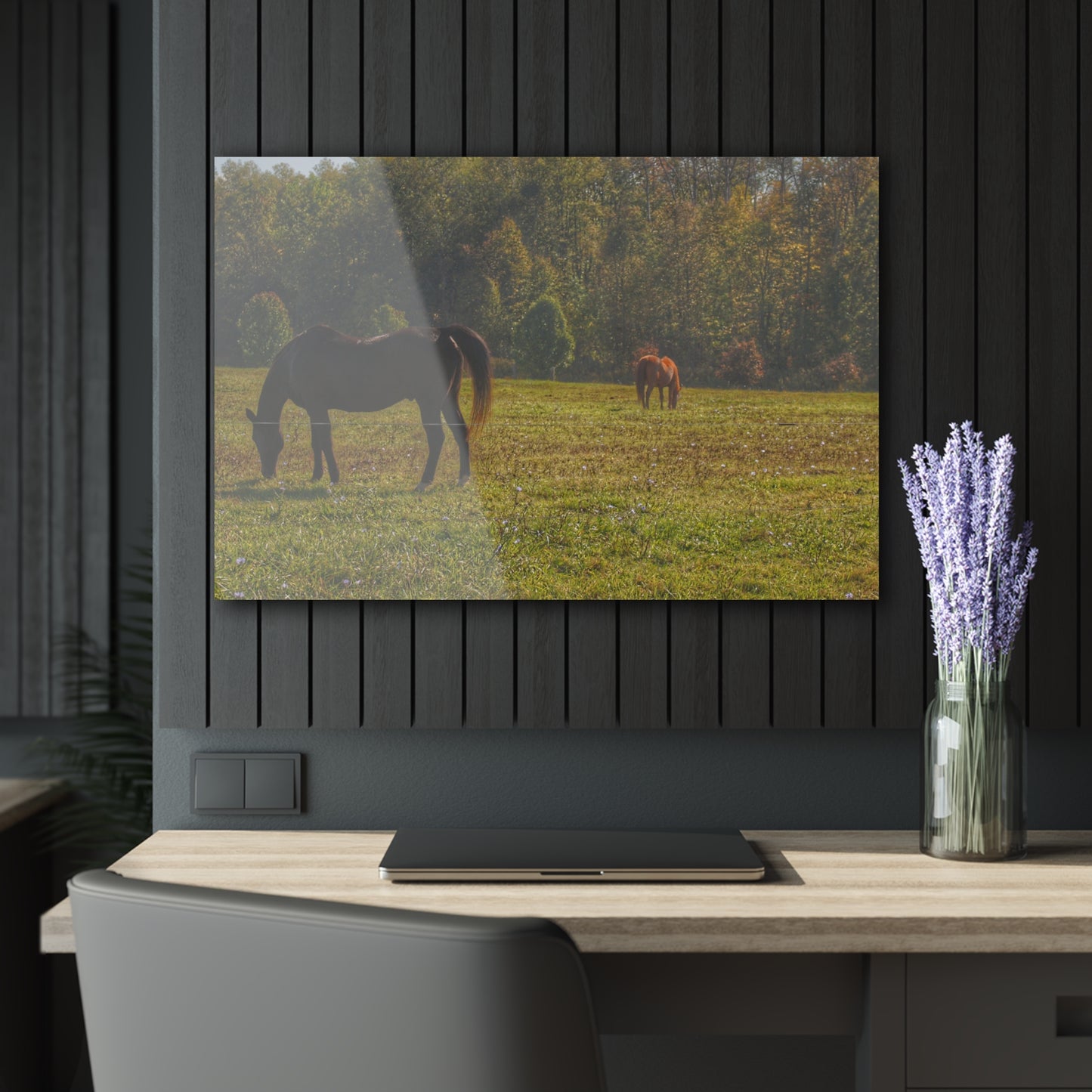 Barn Boutique Modern Farmhouse Acrylic Wall Print| Fargo Road Horses