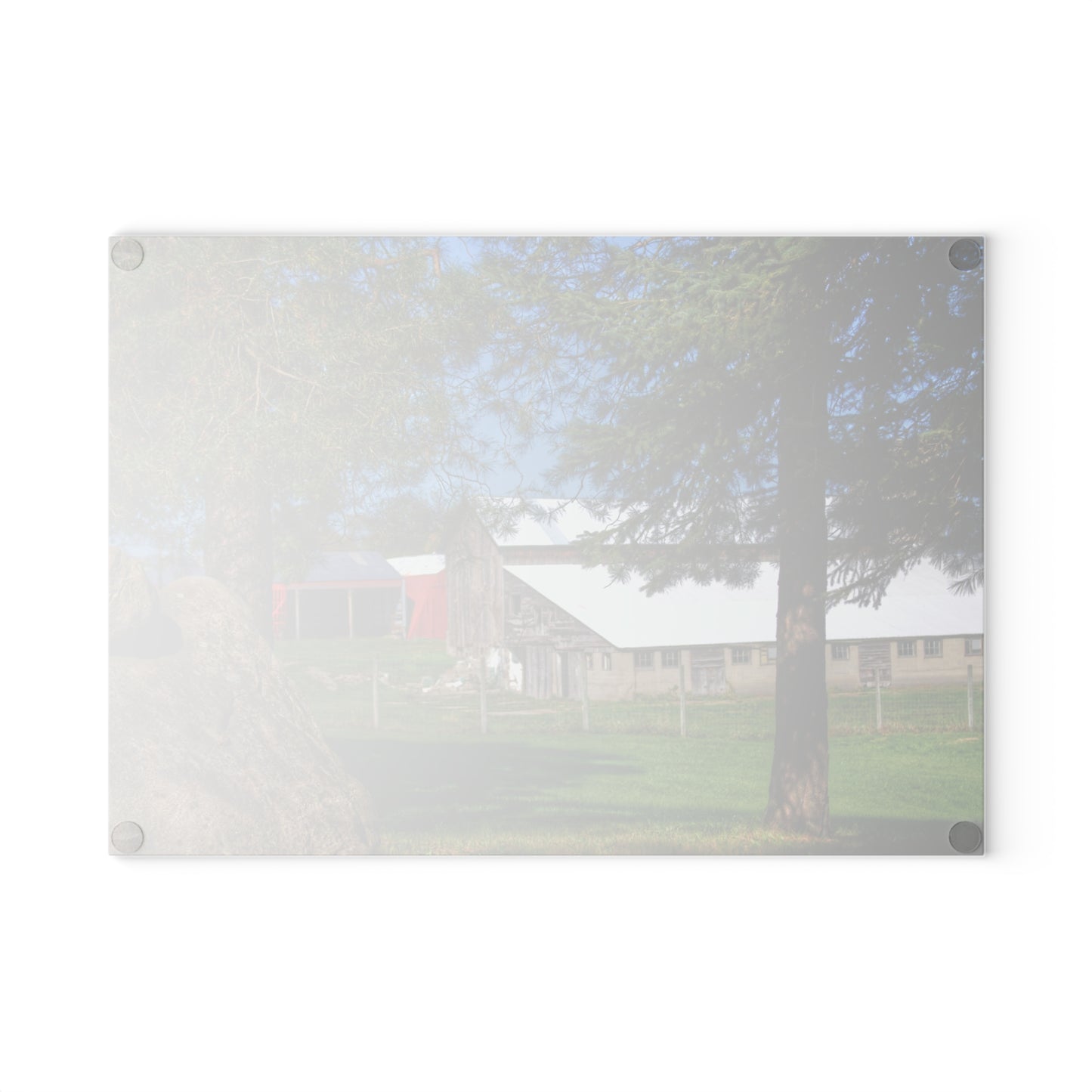 U R There Photography Oakwood Road Old Grey Rustic Farmhouse Tempered-Glass Cutting Board