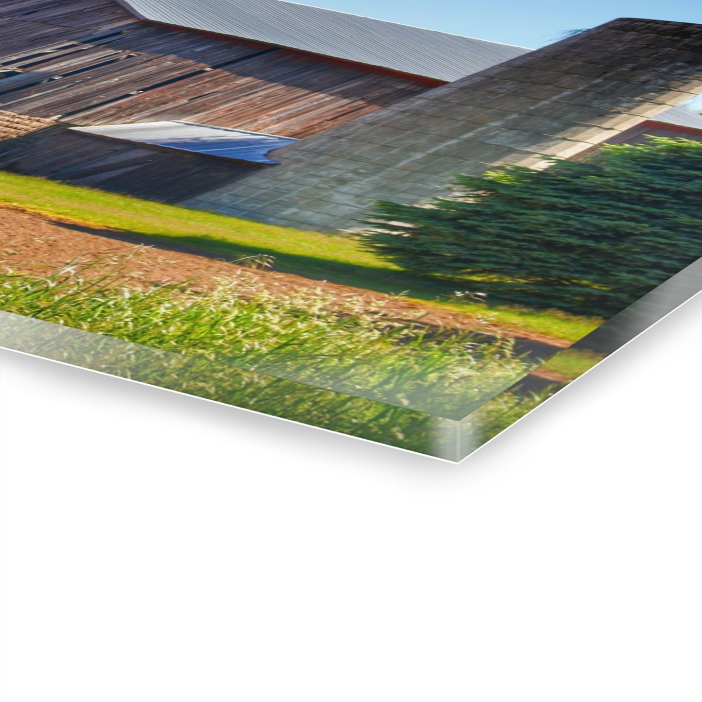 U R There Photography Gilford Grey III Rustic Farmhouse Acrylic Wall Print