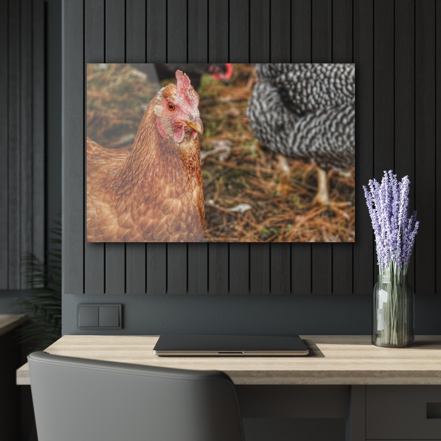 Barn Boutique Modern Farmhouse Acrylic Wall Print| Chicken for Hayley