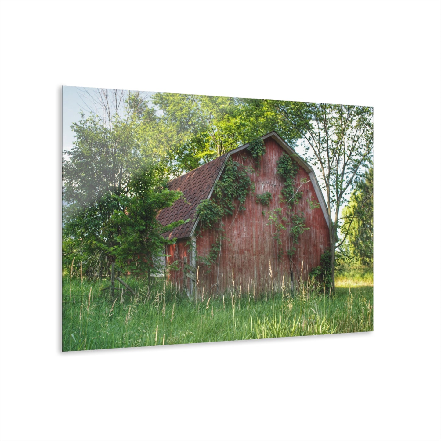 U R There Photography Murphy Lake Road Old Red Rustic Farmhouse Acrylic Wall Print
