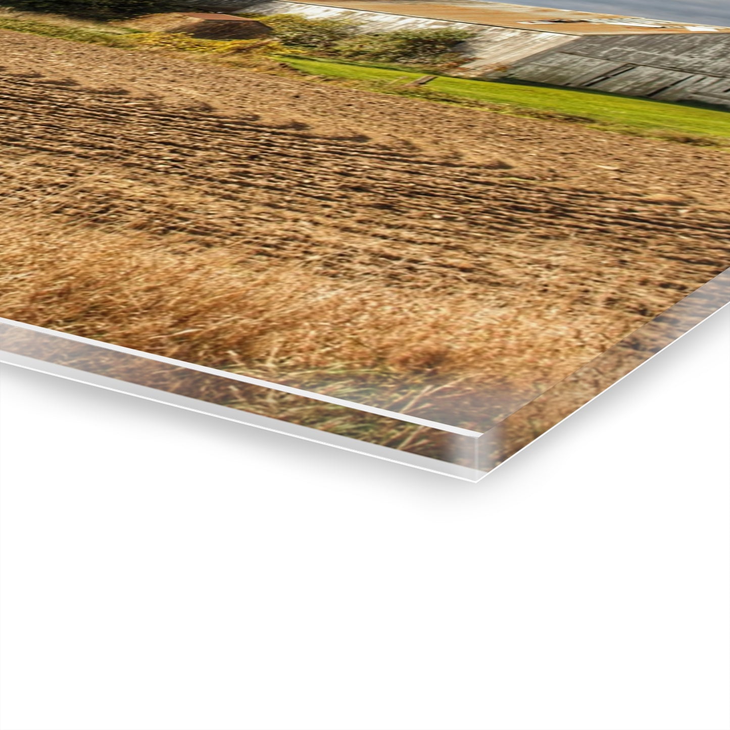 U R There Photography Newark Road Whites Rustic Farmhouse Acrylic Wall Print