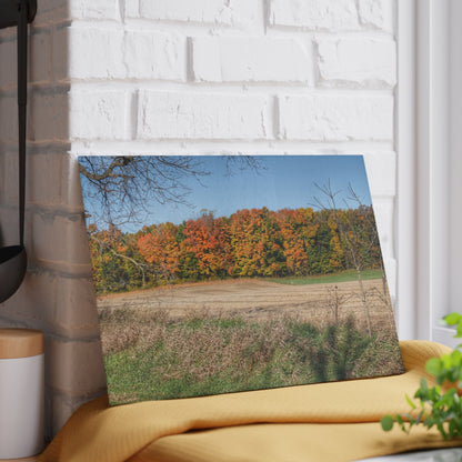 U R There Photography Fall on Piersonville Road Rustic Farmhouse Tempered-Glass Cutting Board