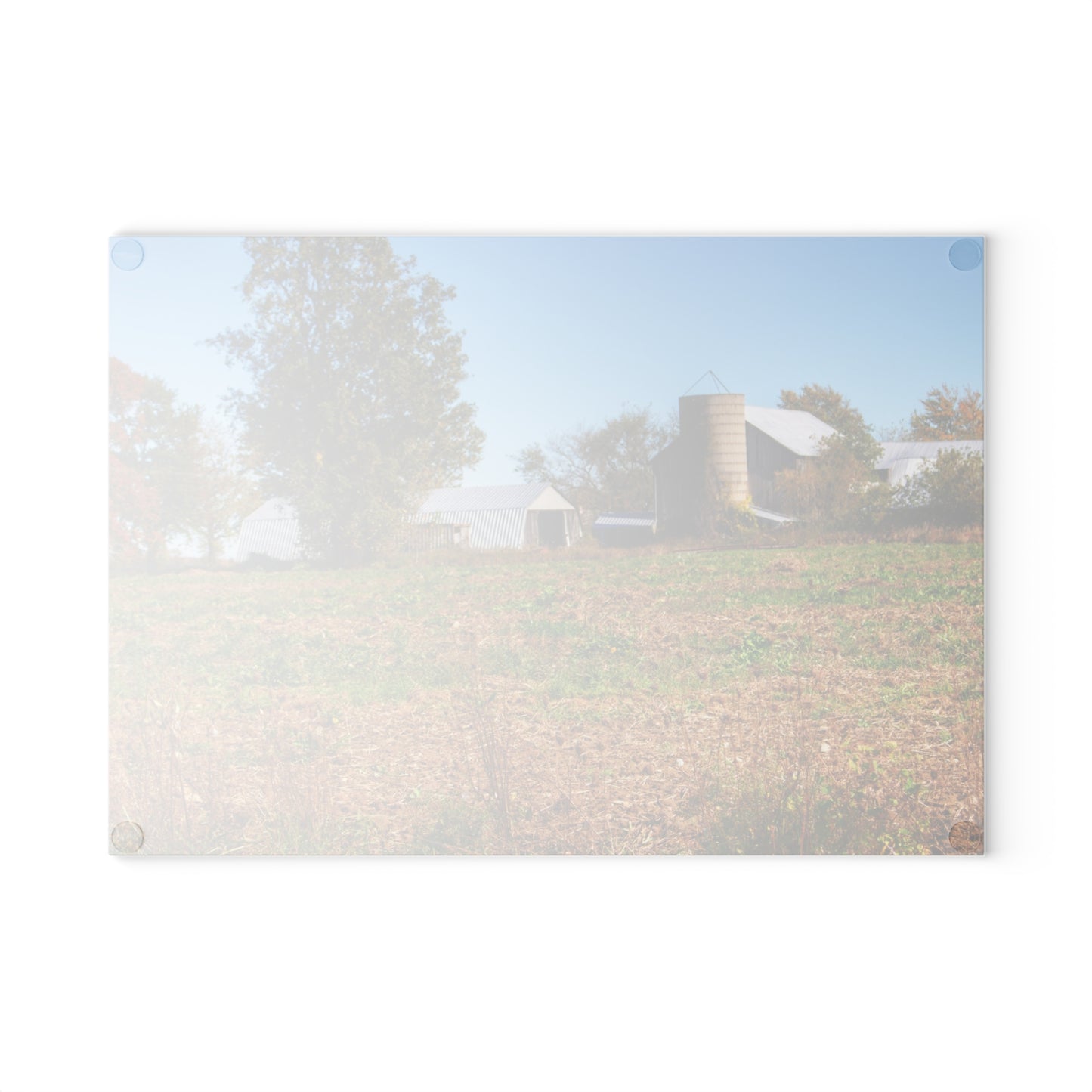 U R There Photography Freiberger Road Greys Rustic Farmhouse Tempered-Glass Cutting Board