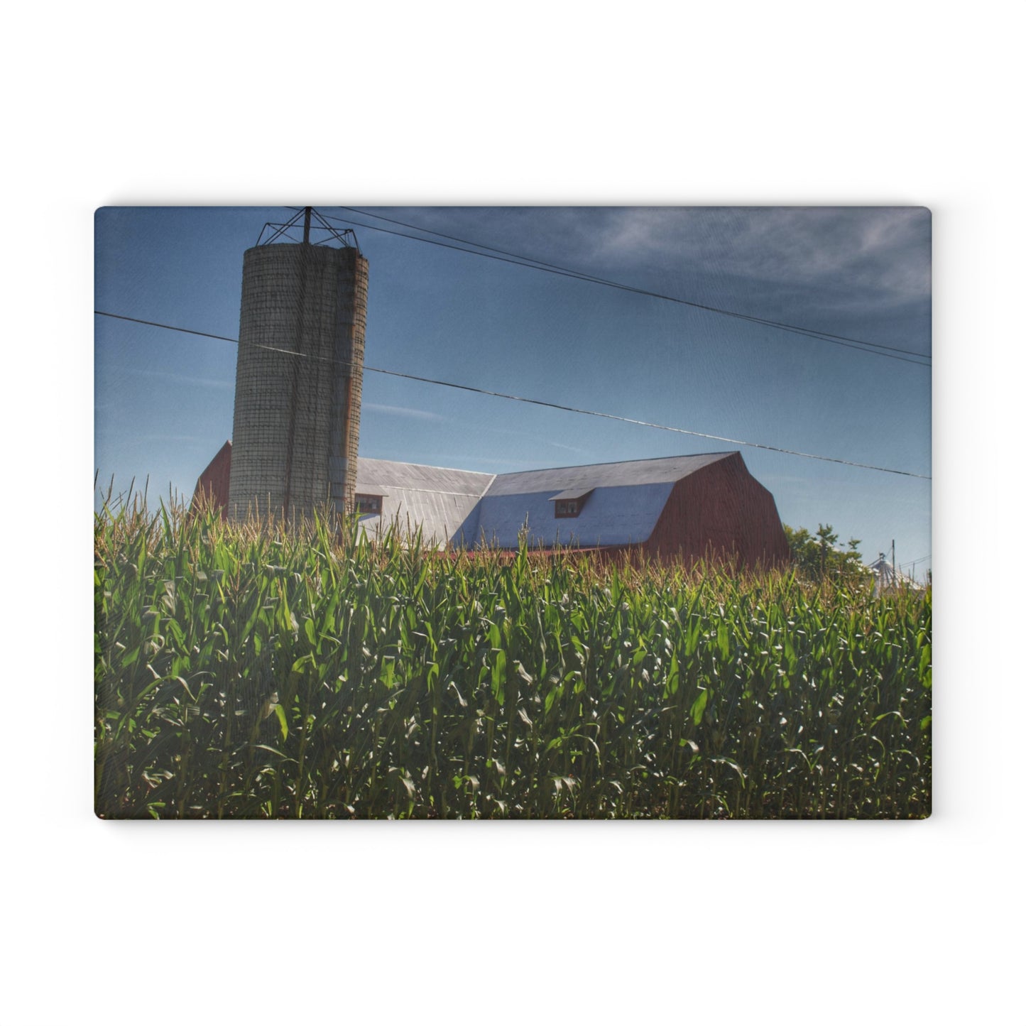 U R There Photography Above the Corn on Tuscola Road Rustic Farmhouse Tempered-Glass Cutting Board