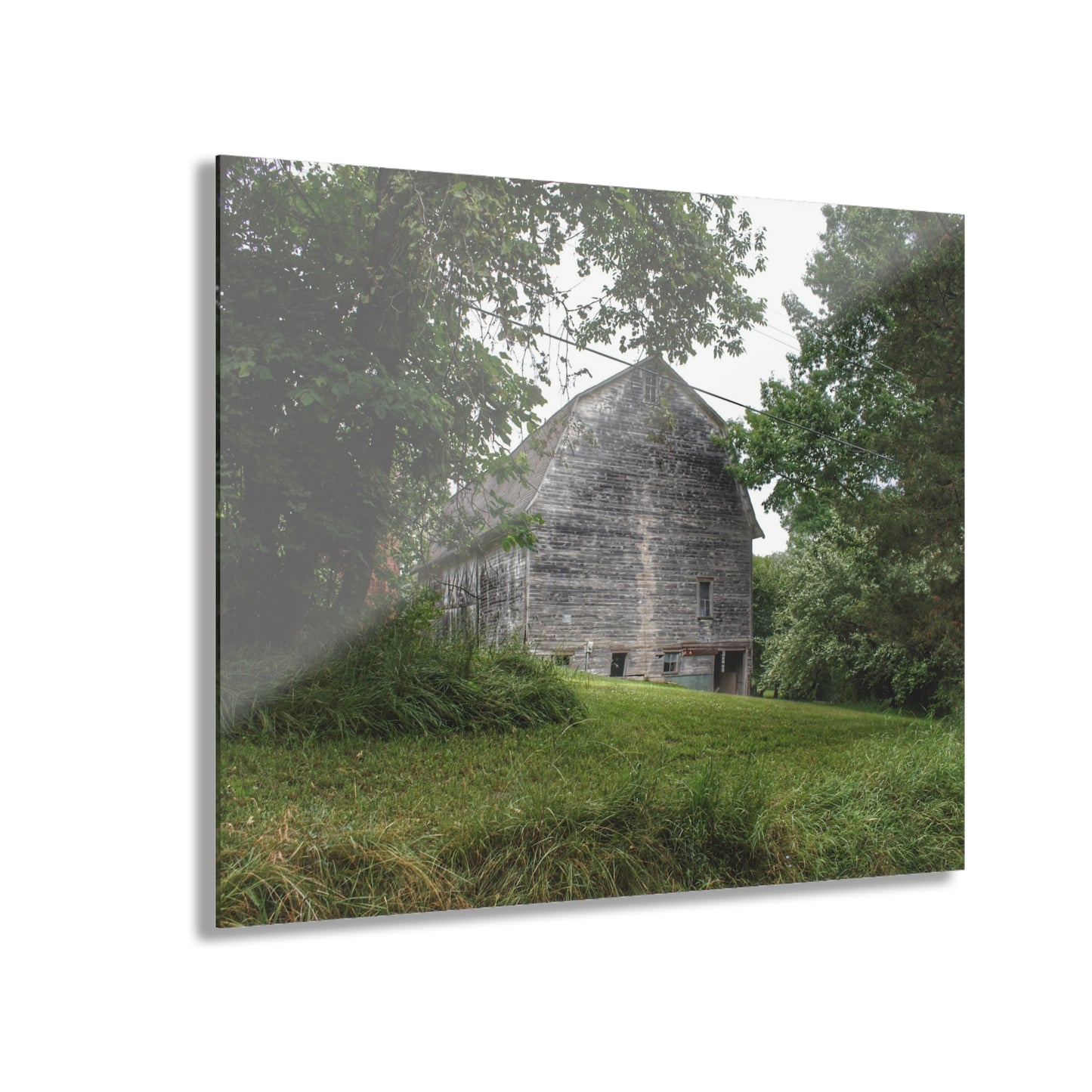 U R There Photography Snell Grey Rustic Farmhouse Acrylic Wall Print