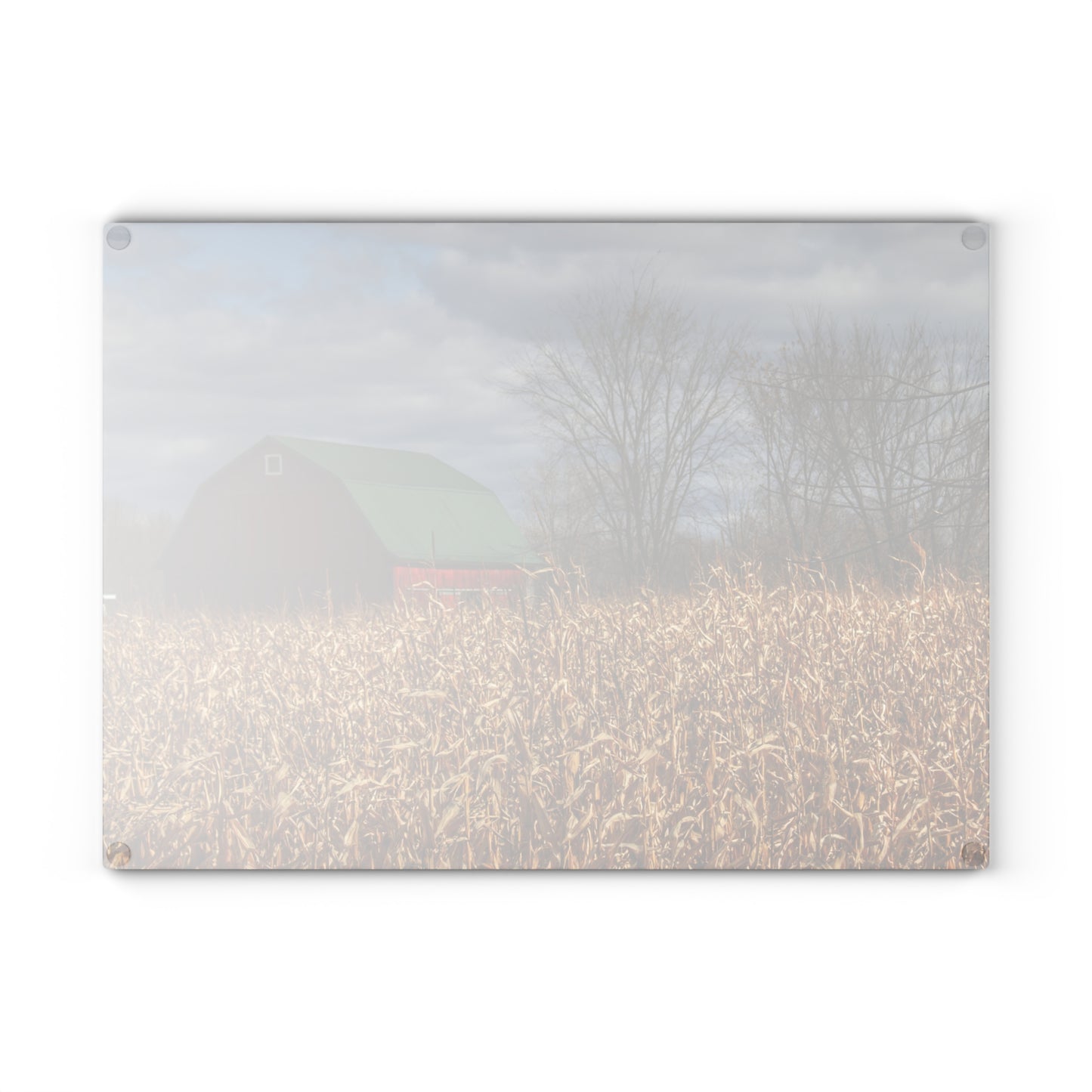 U R There Photography North Force Road Hidden Red Rustic Farmhouse Tempered-Glass Cutting Board