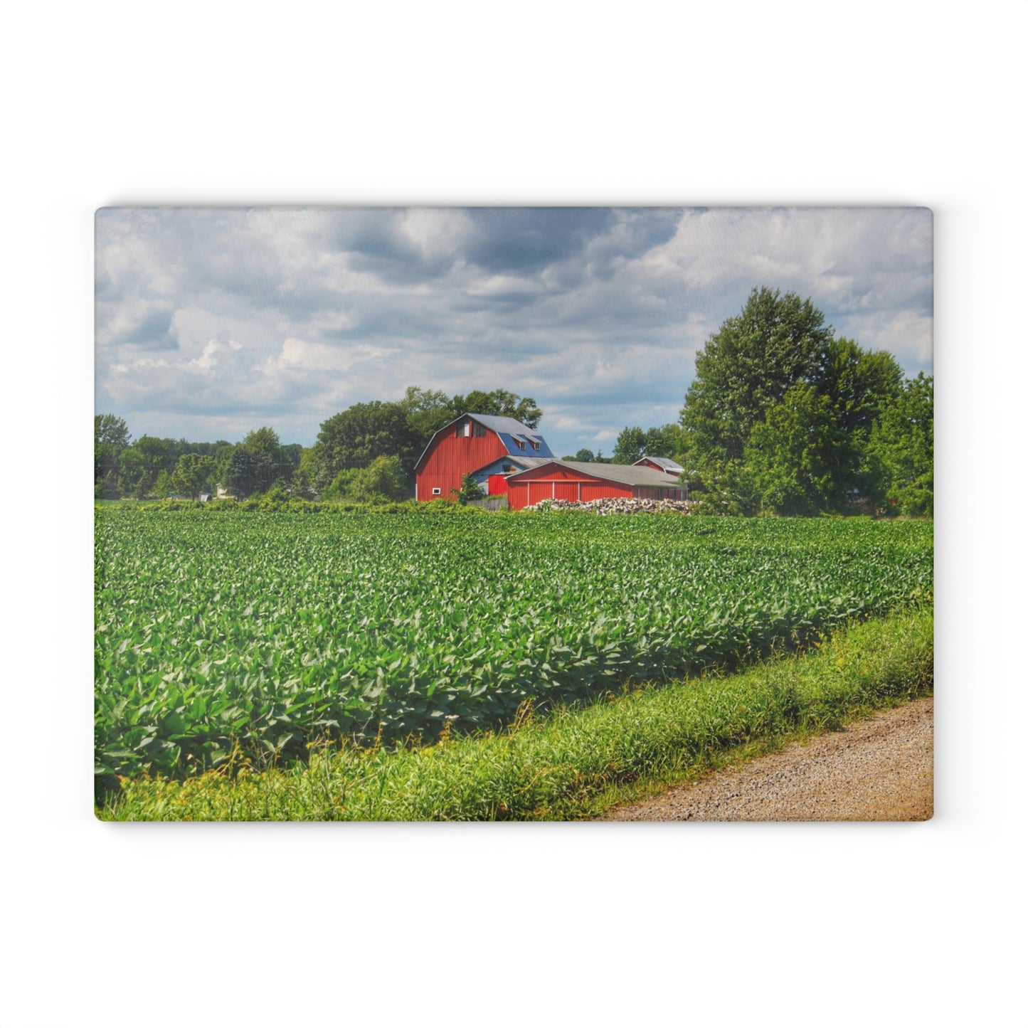 U R There Photography Block Road Reds Rustic Farmhouse Tempered-Glass Cutting Board
