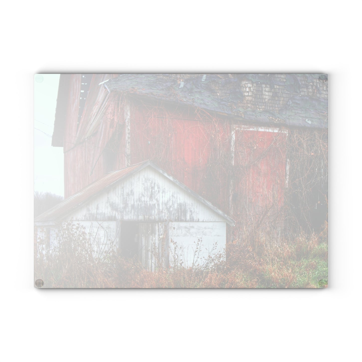 U R There Photography German Road Red II Rustic Farmhouse Tempered-Glass Cutting Board