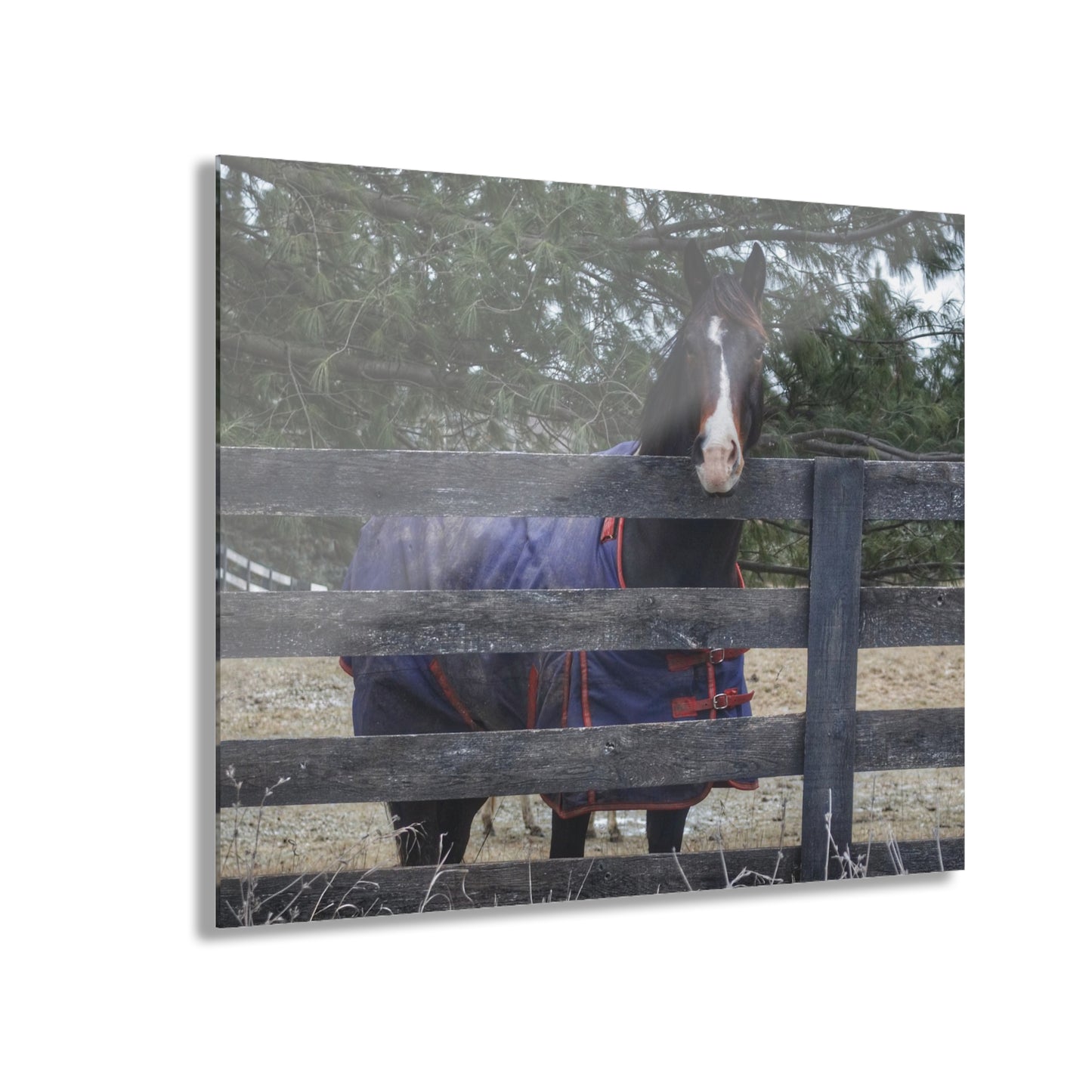 U R There Photography Hosner Road Chestnut Rustic Farmhouse Acrylic Wall Print