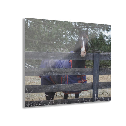 U R There Photography Hosner Road Chestnut Rustic Farmhouse Acrylic Wall Print