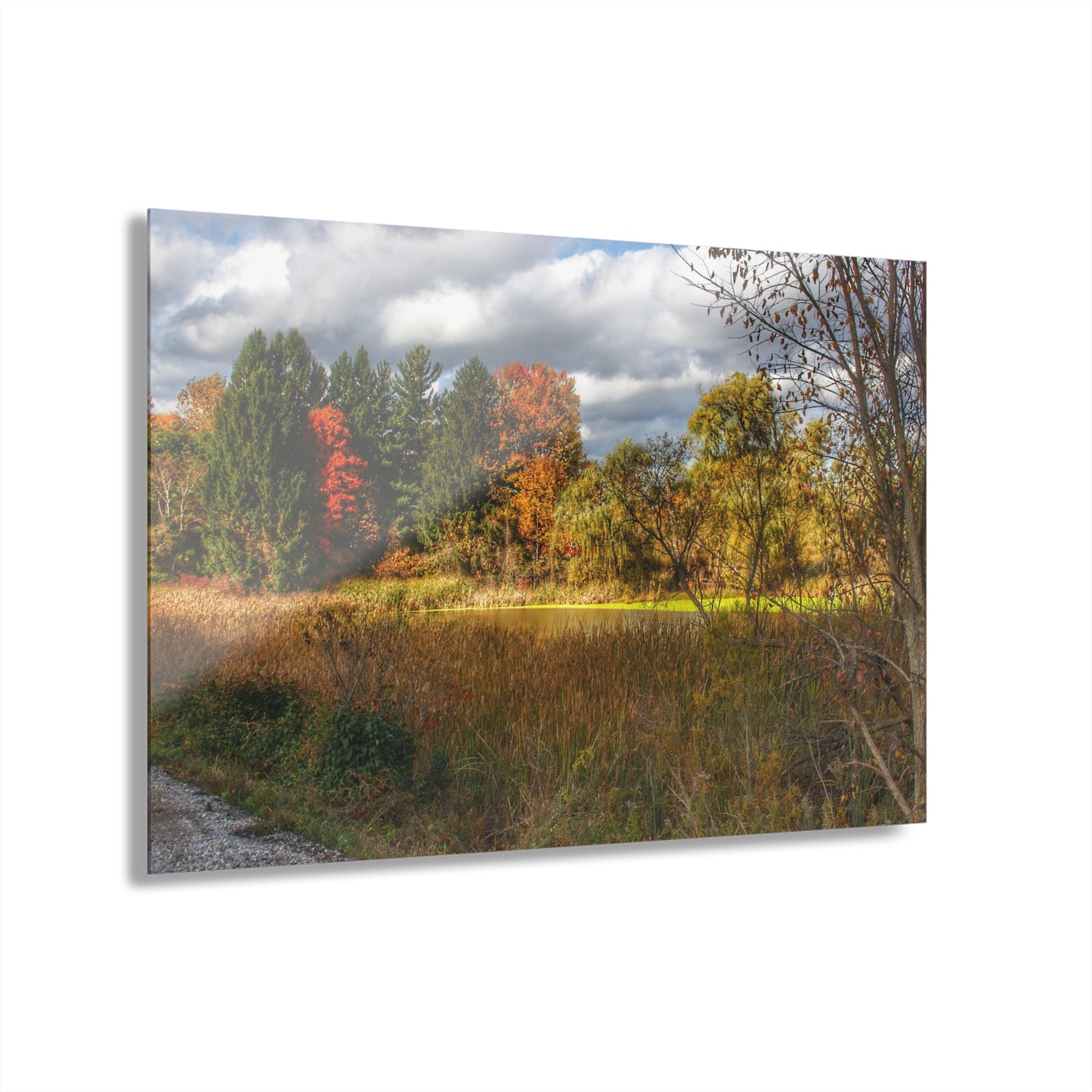 U R There Photography Fall Pond on Sutton Road Rustic Farmhouse Acrylic Wall Print