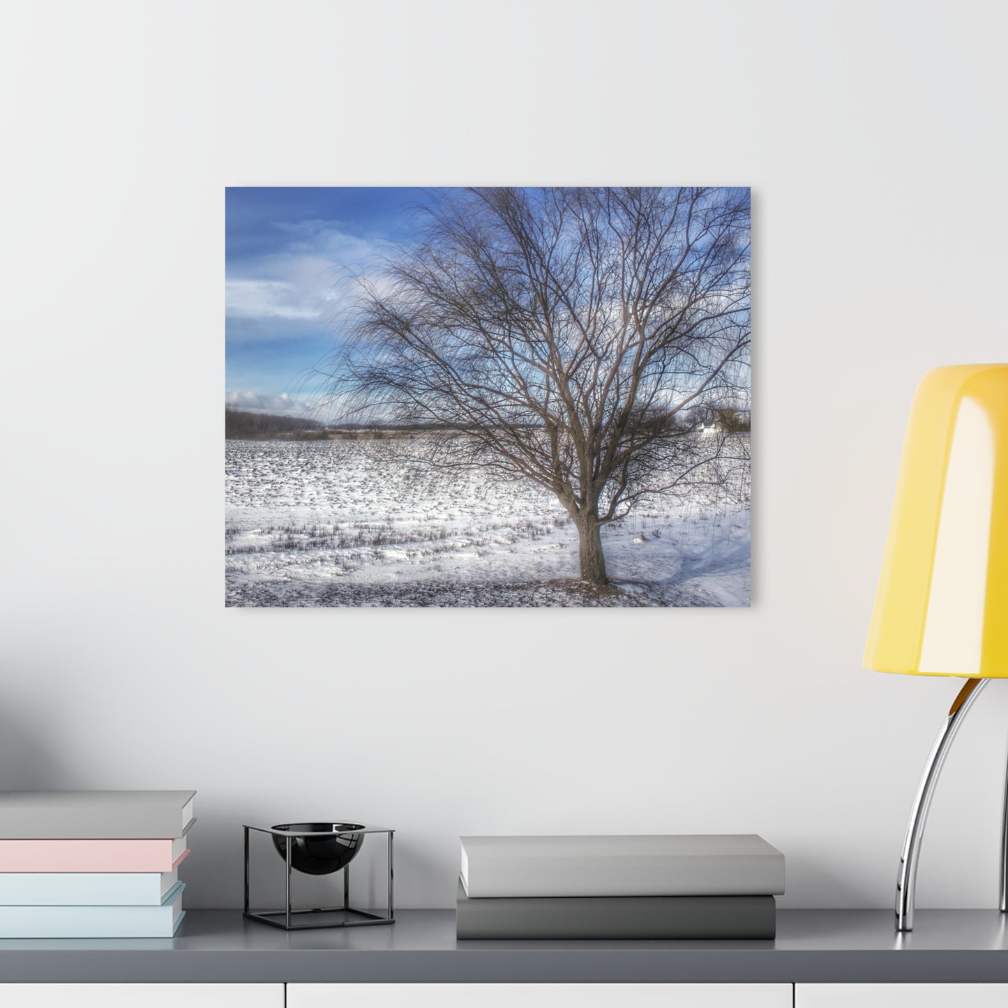 U R There Photography Winter Farm Willow Tree Rustic Farmhouse Acrylic Wall Print