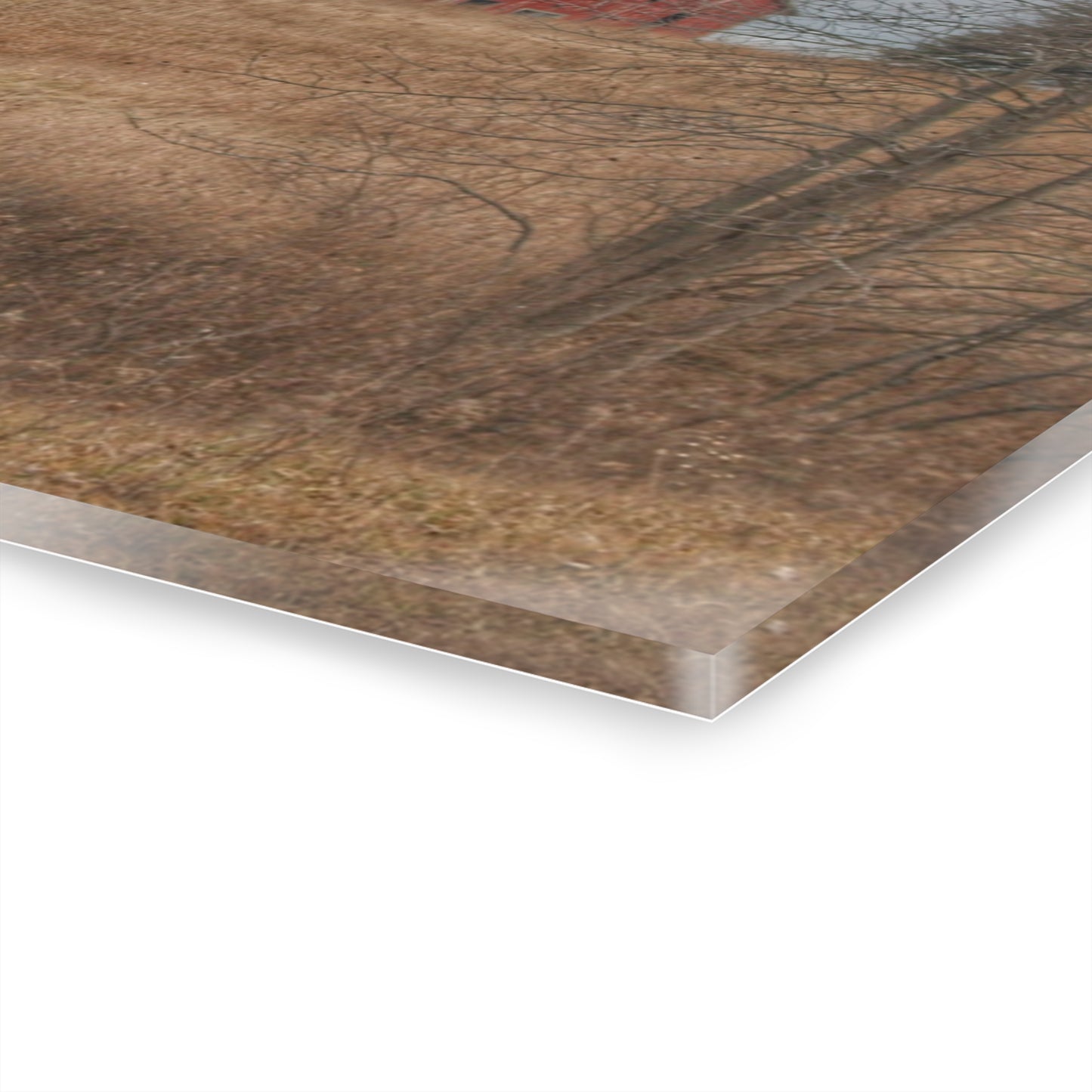 U R There Photography Grey Road Hillside Red I Rustic Farmhouse Acrylic Wall Print