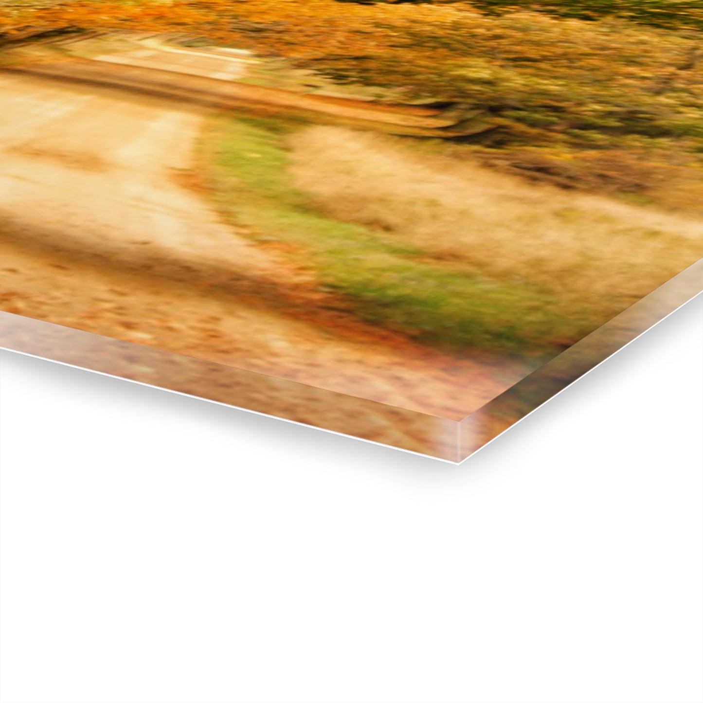 U R There Photography Fall on Murphy Lake II Rustic Farmhouse Acrylic Wall Print