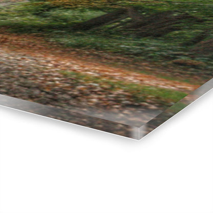 U R There Photography Country Roads in Millington Rustic Farmhouse Acrylic Wall Print