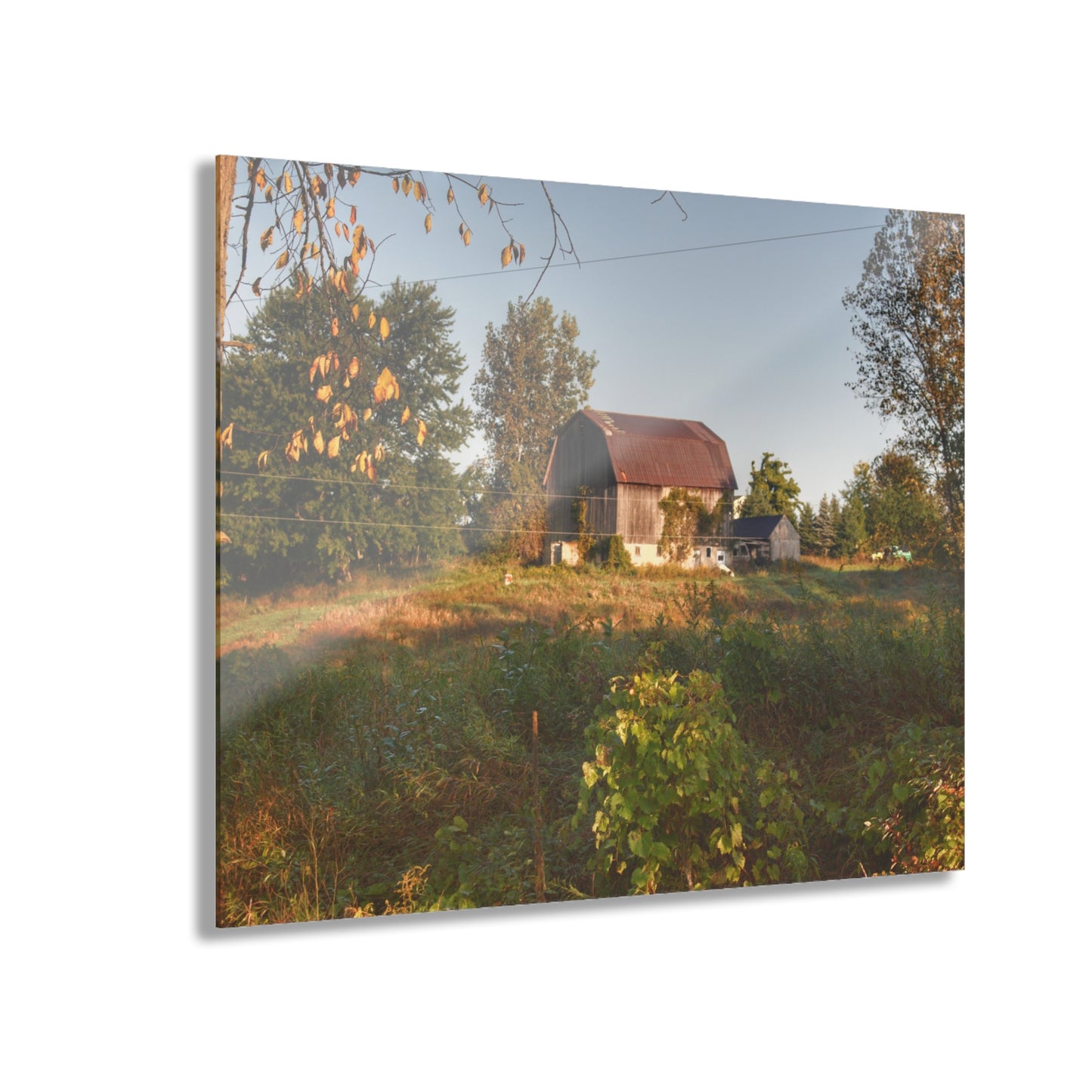 U R There Photography Swaffer Road Little Grey Rustic Farmhouse Acrylic Wall Print