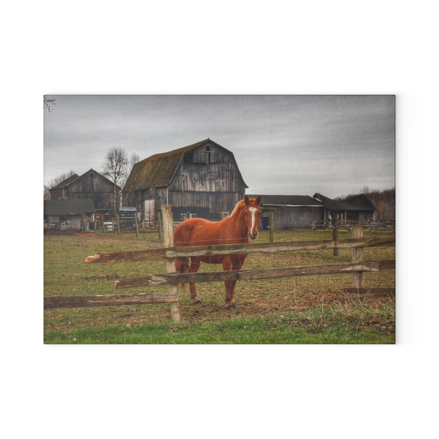 U R There Photography South Summers Road Old Grey and Caramel IV Rustic Farmhouse Tempered-Glass Cutting Board