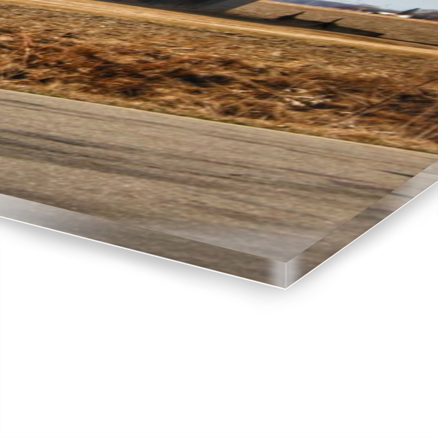 U R There Photography Elmwood Forgotten Apple Red Rustic Farmhouse Acrylic Wall Print