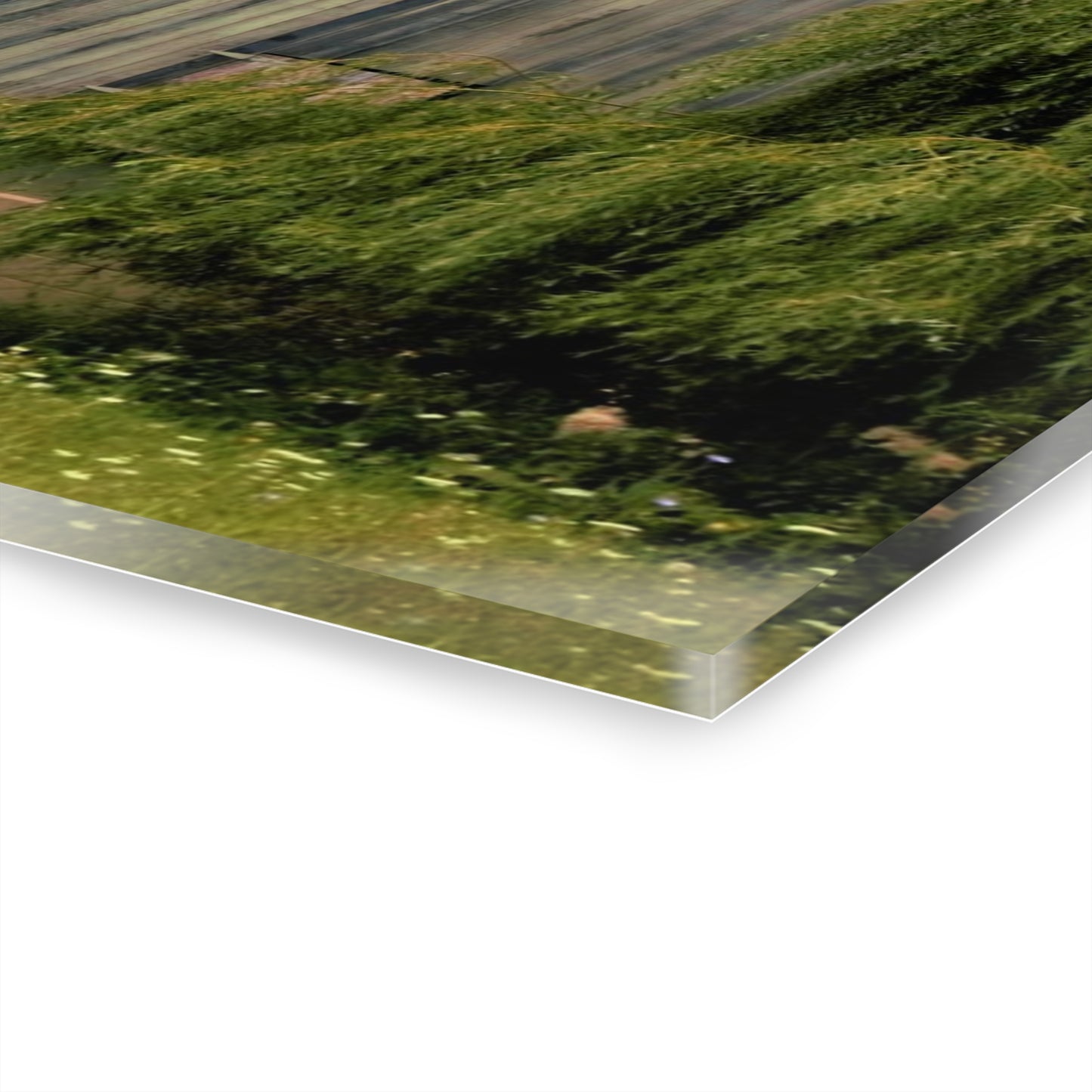 U R There Photography Hassler Lake Horse Barn Rustic Farmhouse Acrylic Wall Print