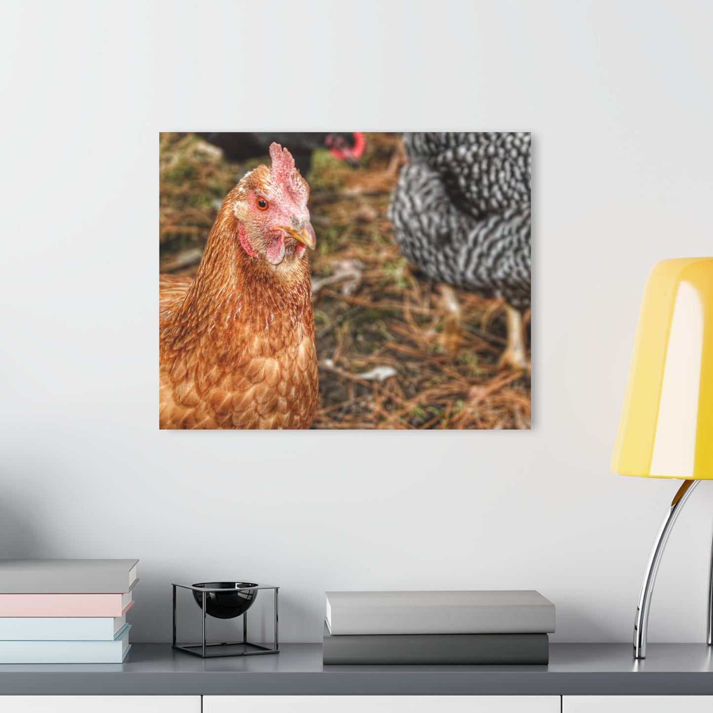 Barn Boutique Modern Farmhouse Acrylic Wall Print| Chicken for Hayley